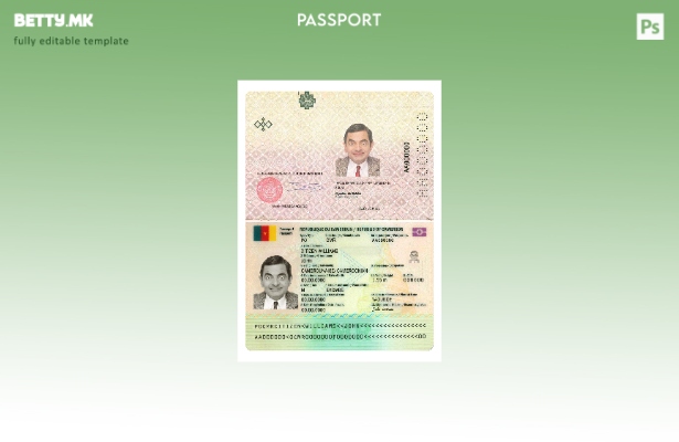 Модерен стил, сегашен шаблон за камерунски пасош